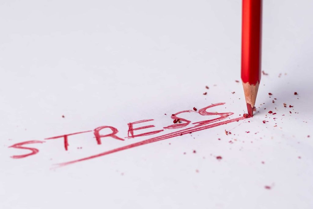 Faut-il avoir peur du grand méchant stress ? certainement pas car la méditation offre un outils pour vivre mieux le stress 