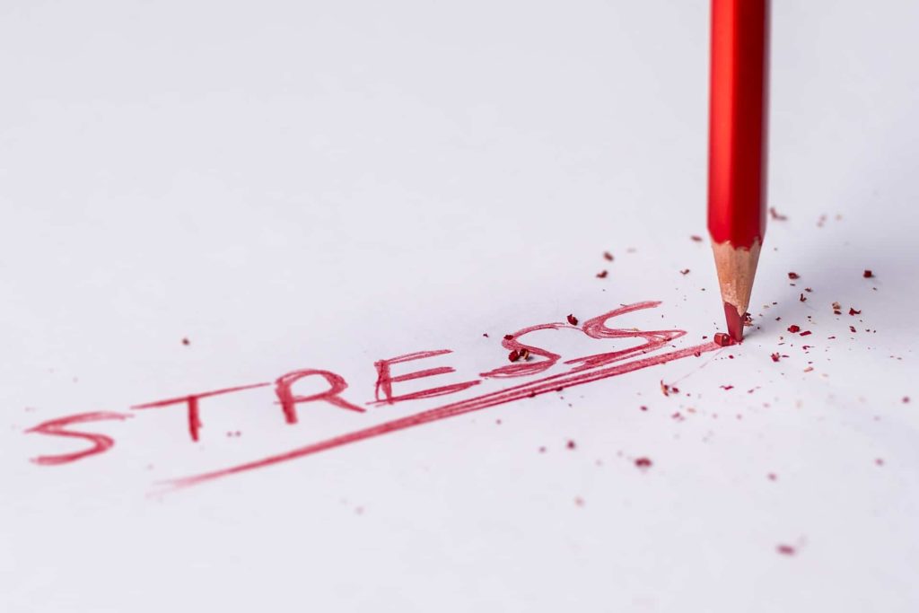 Faut-il avoir peur du grand méchant stress ? certainement pas car la méditation offre un outils pour vivre mieux le stress